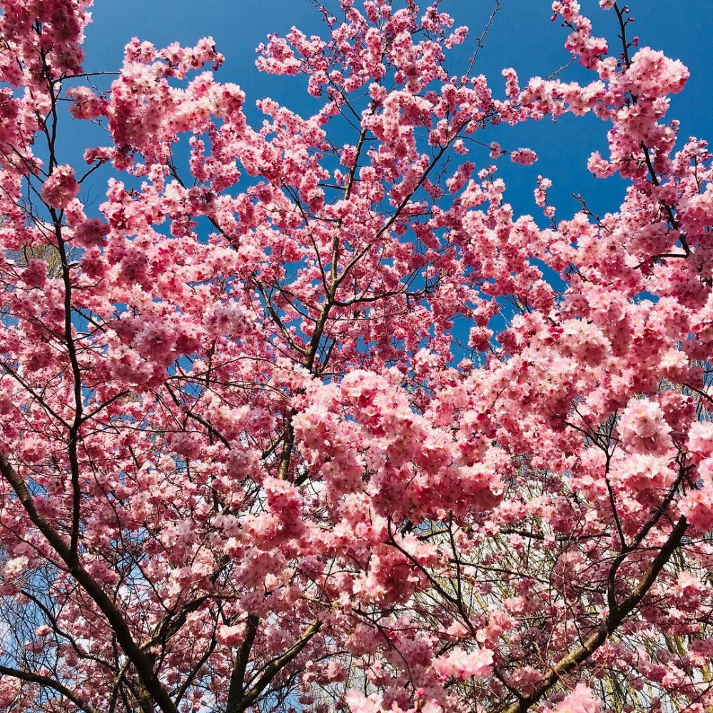 B38DB851-0A42-43E2-92E6-0C0EDF715A7F