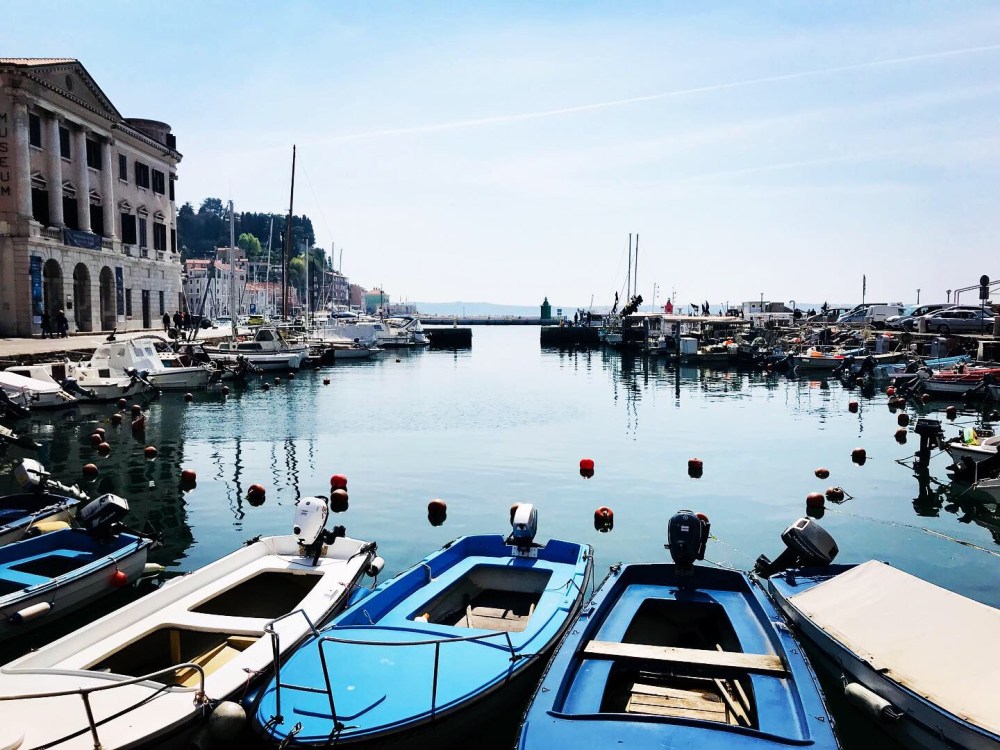 6276D446-D631-446A-9D96-2A7C70691C0B